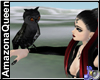 )o( Black Shadow Owl