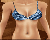 Blue Bra Bikini Kawaii