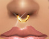 TuCHuk Gold Nose Ring