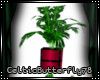 ~SD~Large Leaf Plant