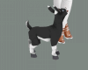 Baby Goat (TARCIN )
