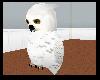 Animated Snow Owl N/Prch