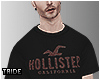 Shirt Hollister