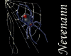 Spider 1