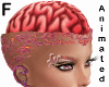 alive brain & jewels - F