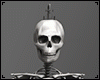 [JR] Skeleton Deco