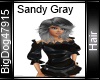 [BD] Sandy Gray Hair