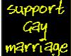 Support gay marriage