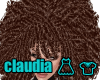 1970's Hair