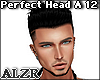 Perfect Head A 12