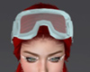 Ski Googles