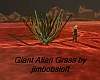 Giant Alian Grass