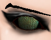 AnimalSide-Dragonfly eye
