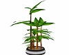 Steel Potted Bamboo 3