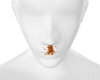 Orange Mouth Smoke Nose