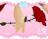[L] Long Red Rose