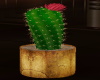 [CI]Cactus Potted 4