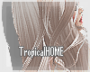 TH/Alysyn Caramel HAIR