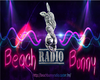 BeachBunnyRadioBanner