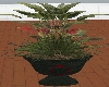 PD-Black pot/plant