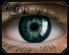 [LG] Eyes Fathom