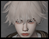kenta