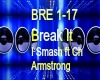 I SMash -break it mix
