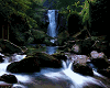 (K) Jungle Waterfall Pic