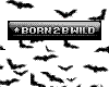 Born 2 B Wild Sticker