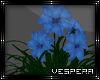 -V- Blue Flowers