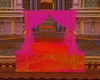 Pink Canpy