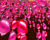 KISS  CONFETTI