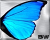 Spring Blue Wings