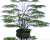 ♥◡♥ Design'Plant