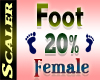 Foot Resizer 20%