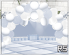 RS*Wedding Balloon Arch