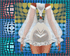 transparent_sleeve