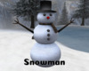 *Snowman