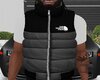 £| Northface Grey Vest