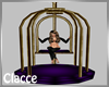 C purple gold dance cage