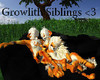 Growlith siblings