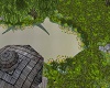 The Little Green Lake