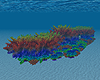 Ocean Coral Row