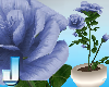 Fleuriste Blue Roses Pot