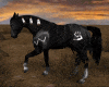 Native Animated Horse 2