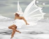 white fairy wings