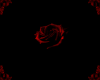 [DD] Red Rose Rug