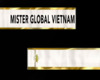 Mister Global VN sash
