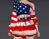 Usa Flag Dress