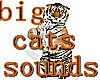 da's BIG CAT SOUNDS